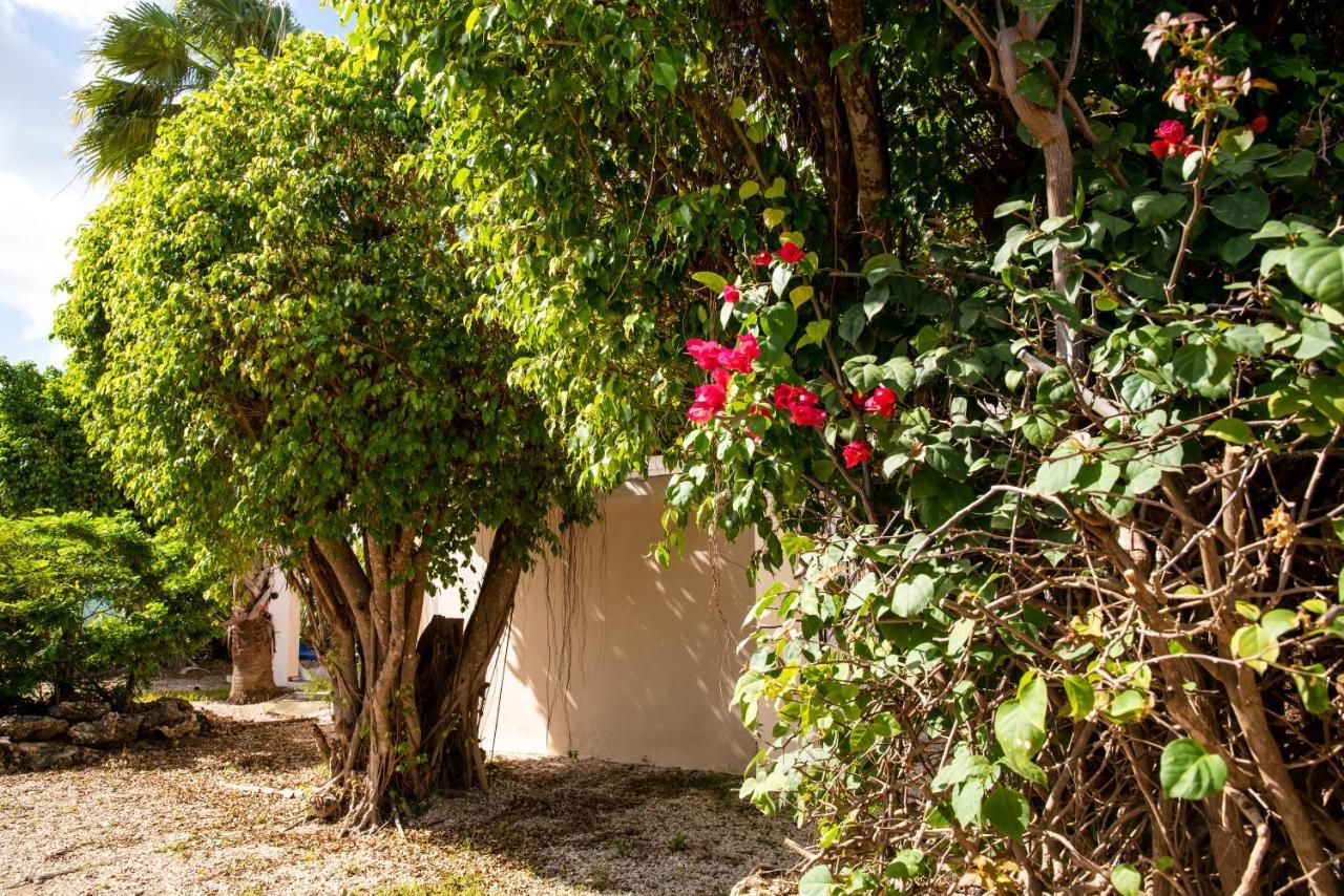 Hamlet Oasis Resort クラレンダイク エクステリア 写真